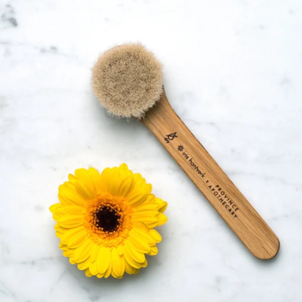 Daily Glow Facial Dry Brush